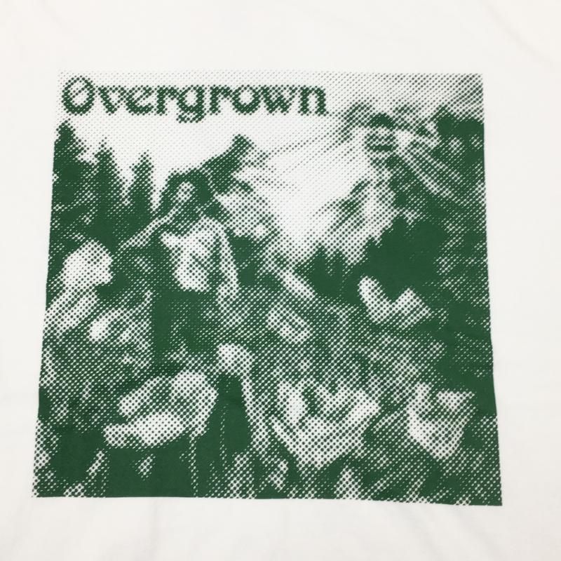  SASSAFRAS OVERGROWN WARDEN T 1/2(WHITE)