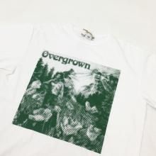  SASSAFRAS OVERGROWN WARDEN T 1/2(WHITE)
