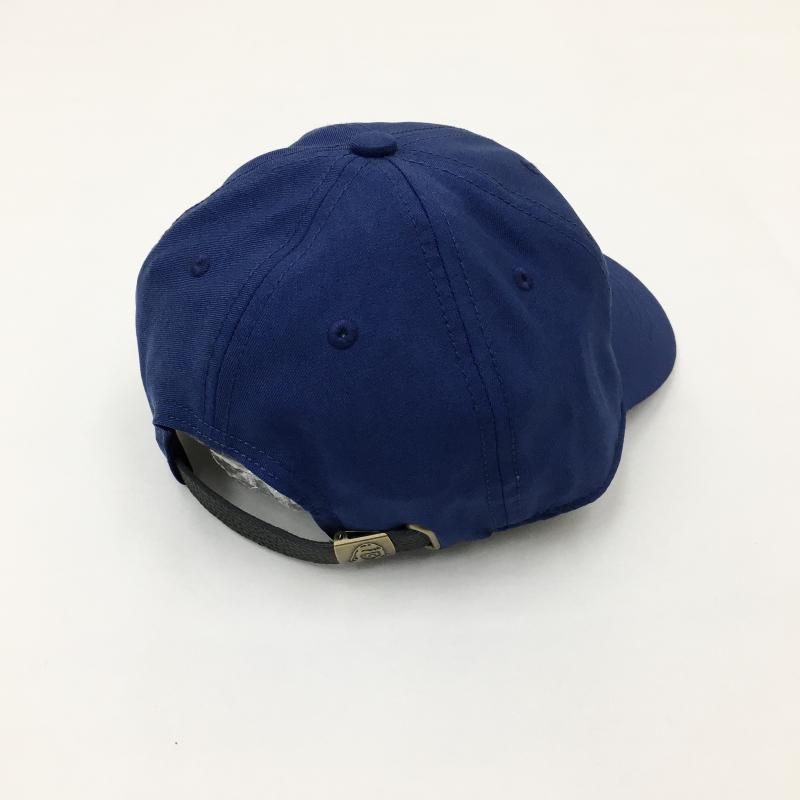  TACOMA FUJI RECORDS DOG IS MY SALVATION CAP'25 (BLUE)