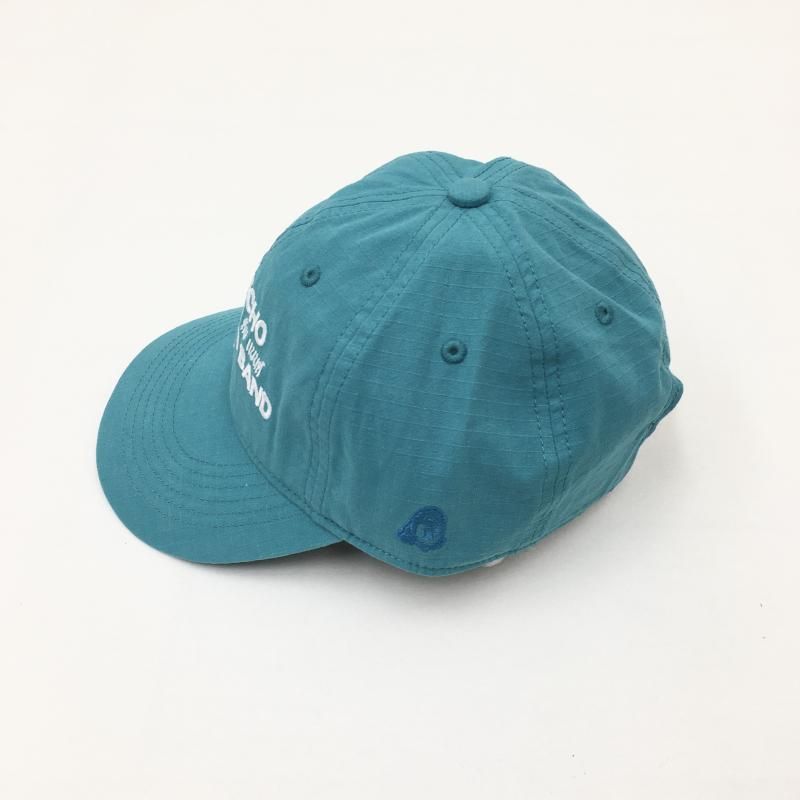  TACOMA FUJI RECORDS SPACE ECHO MOLAM DUB BAND CAP'25 (BLUE)