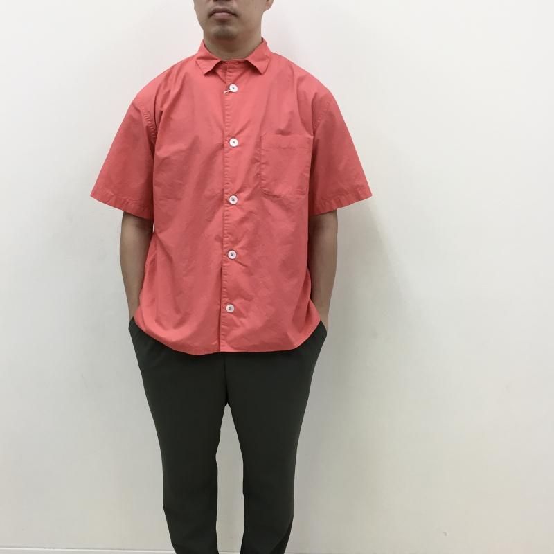 LOLO  ˥塼 Ⱦµ(PINK)
