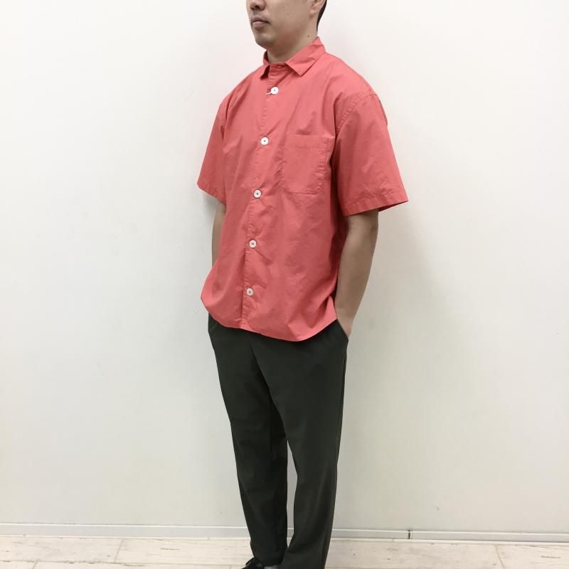  LOLO  ˥塼 Ⱦµ(PINK)