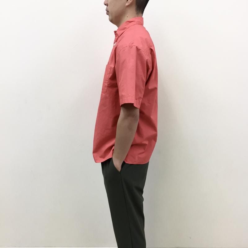  LOLO  ˥塼 Ⱦµ(PINK)