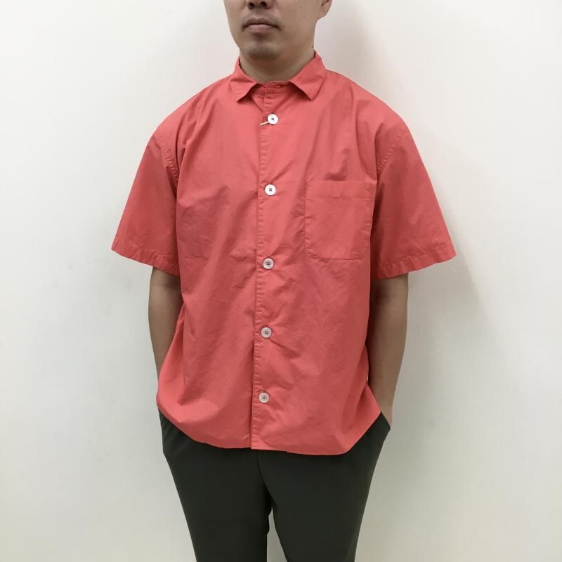  LOLO  ˥塼 Ⱦµ(PINK)