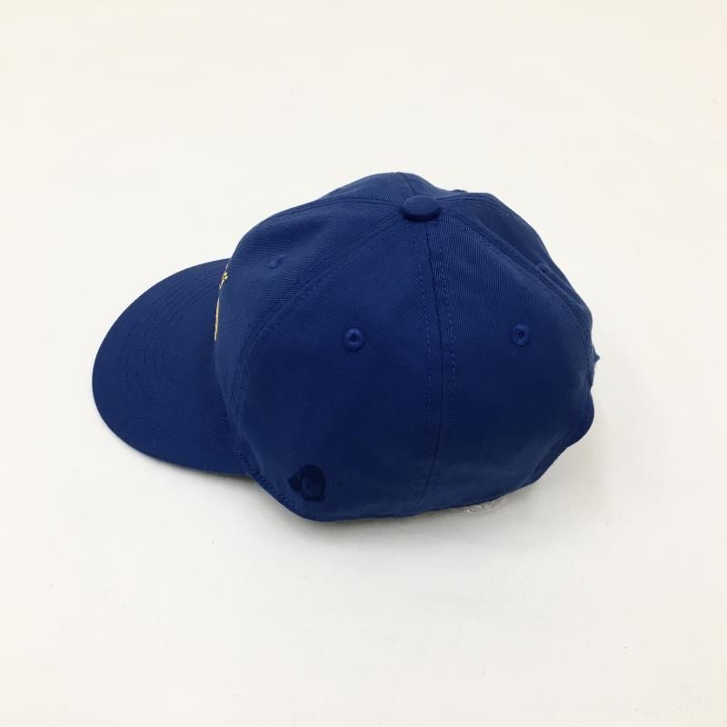  TACOMA FUJI RECORDS SCRIPT LOGO CAP (BLUE)
