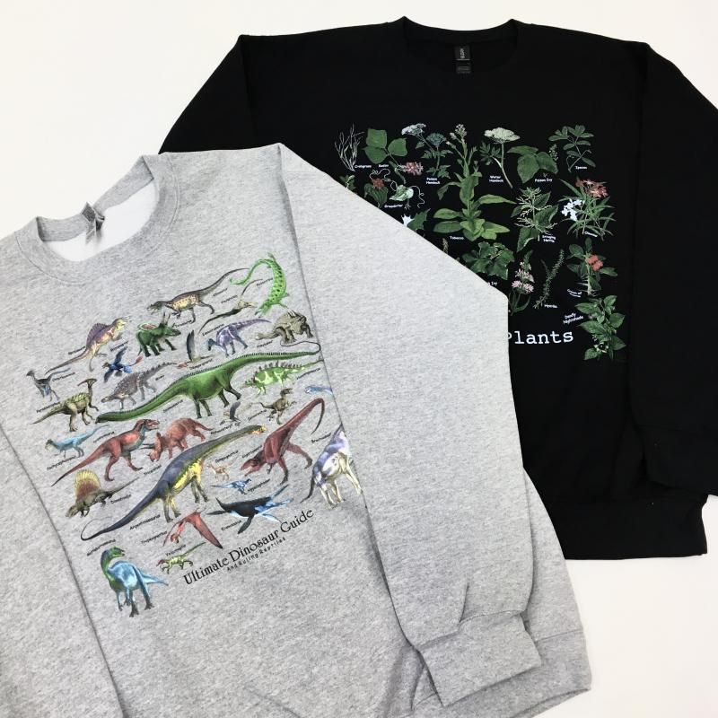  Atras PRINT CREW NECK SWEAT(Ultimate Dinosaur Guide-GRAY)