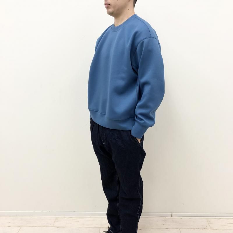  PERS PROJECTS FRITZ CREW TRAINER(BLUE)