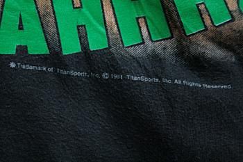 希少80年代ヴィンテージ　WWF ザ・ブッシュワッカーズ タッグチーム Tシャツ 希少80年代ヴィンテージ WWF ザ・ブッシュワッカーズ タッグ