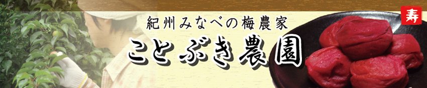 【紀州南高梅】-梅干農家　ことぶき農園-　一粒一粒大切に育てた梅干をお届け