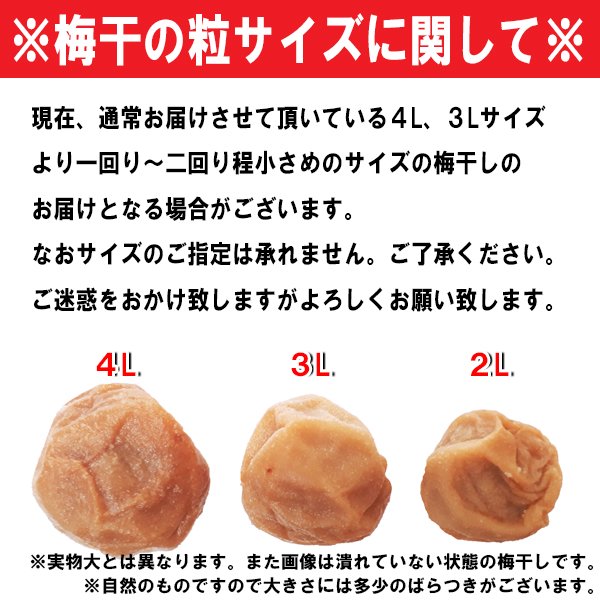 大潰れ 南高梅 はちみつ梅 900グラム - その他 加工食品