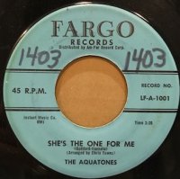 Aquatones - She's The One For Me - OLD HAT GEAR