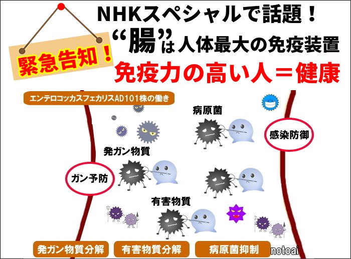 NHKスペシャル　シリーズ　人体　神秘の巨大ネットワーク第４集　「万病撃退！“腸”が免疫の鍵だった」