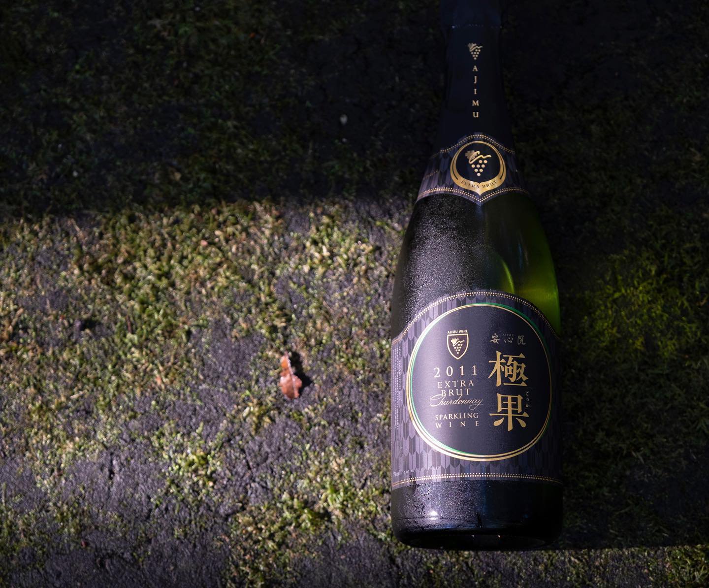 最高級スパークリングワイン 極果 2011年ビンテージ ボトルイメージ