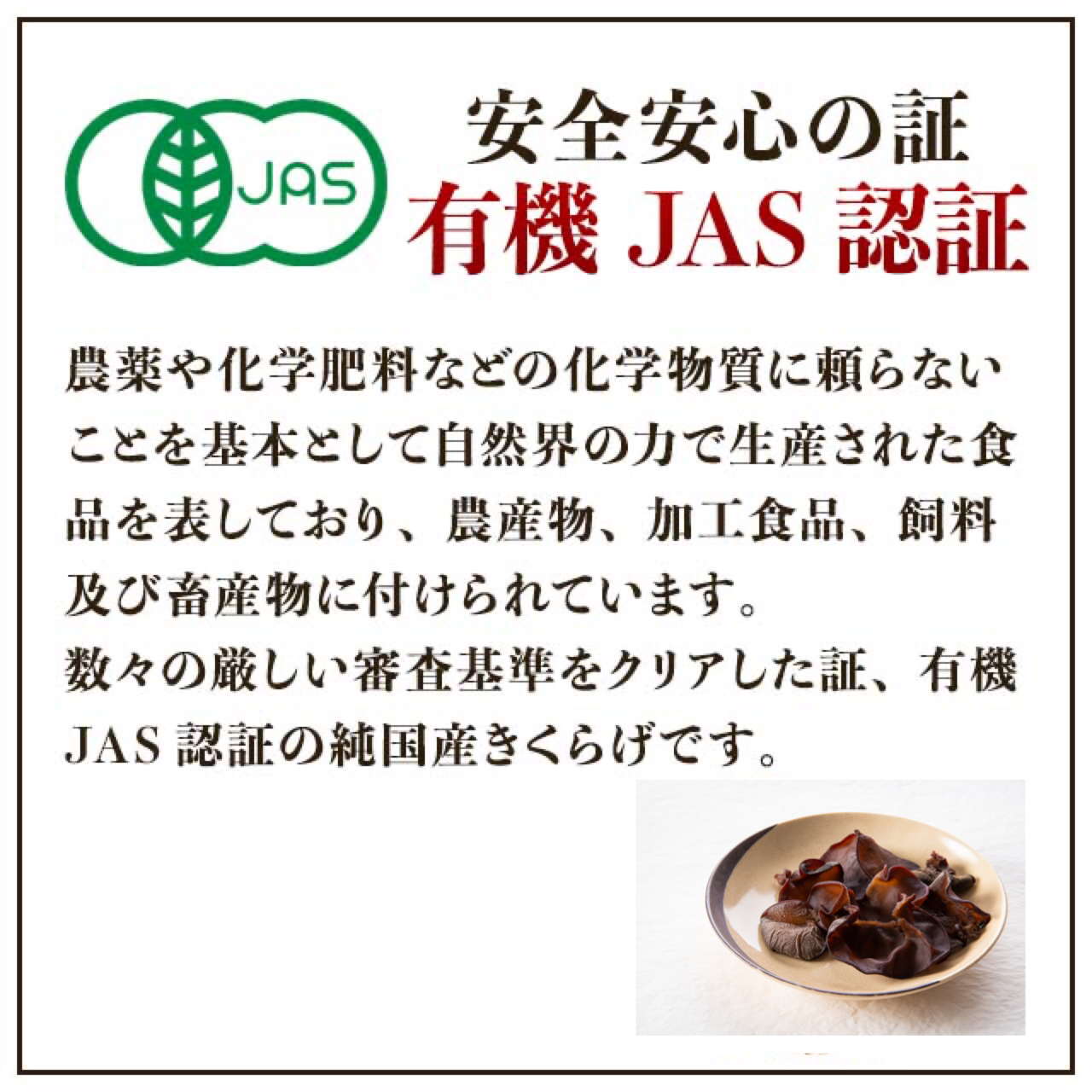 񻺴礭餲 ̵ 100g Ź ʬ ͭJAS