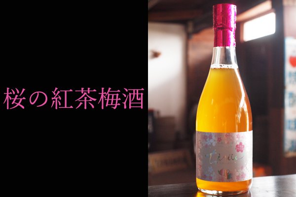 ちえびじん 桜さくら 紅茶梅酒 アルコール7度 720ml 中野酒造 - 大分の