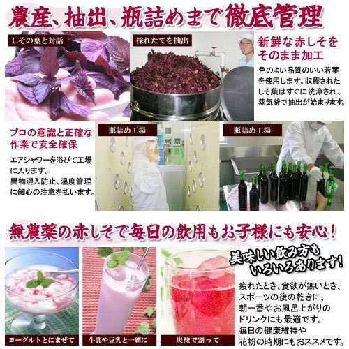 もちろん◂ 赤シソ ジュース 無糖タイプ 無農薬栽培 大分産 紫蘇