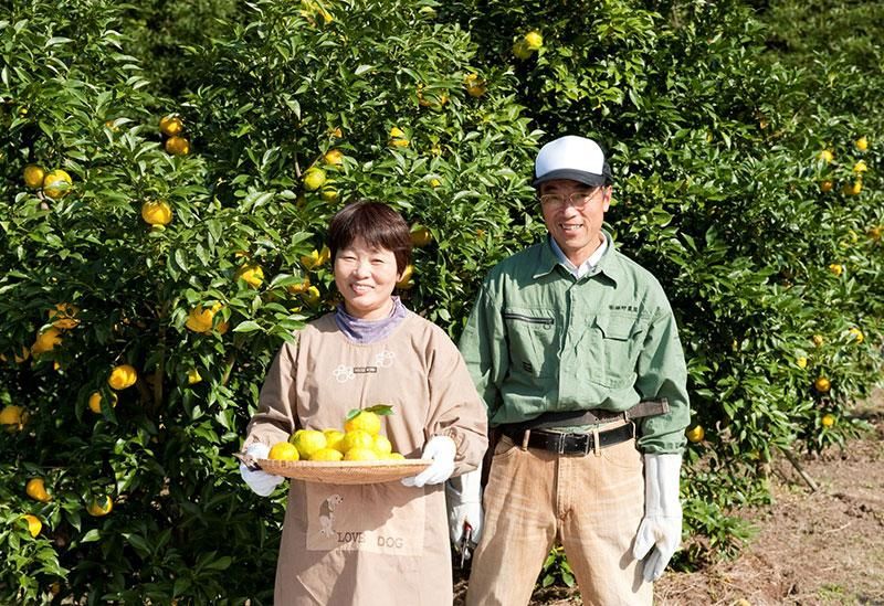 ゆず果汁 柚子酢 ゆず酢 柚子果汁 1000ml 市販 通販 販売店 ゆず果汁 柚子酢 ゆず酢 柚子果汁 1000ml 市販 通販 販売店