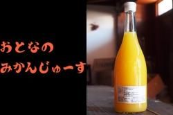 ͤΤߤ󥸥塼 720ml ̵մ100%