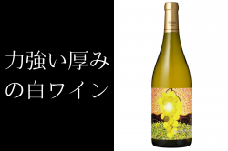 ¿磻 ץƥޥ󥵥 750ml ϶ߤ磻