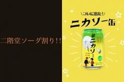 #˥ ʬमƲ ܤ 350ml24 ʬ 2ޤ1ĸ(Ʊ)