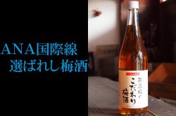 酒蔵で造った梅酒500ml 全国梅酒品評会2017金賞 ｜八鹿酒造