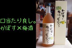 酒蔵で造った梅酒500ml 全国梅酒品評会2017金賞 ｜八鹿酒造