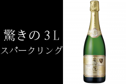 �¿������ѡ�����󥰥磻�� 3L 3000ml�����͡�������¾���ʤȤ�Ʊ���Բġ�