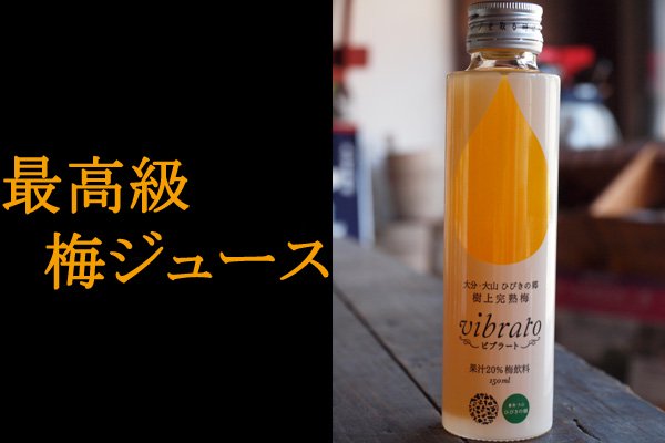 完熟梅ジュース ビブラート果汁20%梅飲料150ml×24本