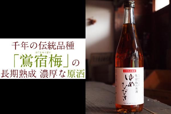 楽天市場】【 数量限定 】 熟成梅酒 The FIRST 20度 《専用化粧