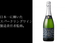 ¹Ჴð ŷ ѡܼ 11% 720ml 磻󥰥饹Ǥܼ򥢥2025ǹ