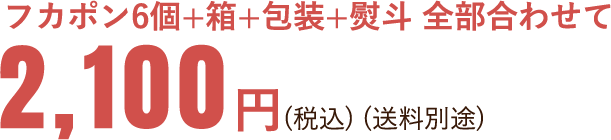 եݥ6+Ȣ++͡碌ơ2,100ߡǹˡӡ