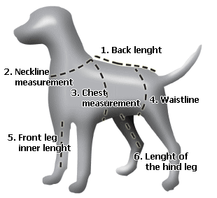 犬のサイズ