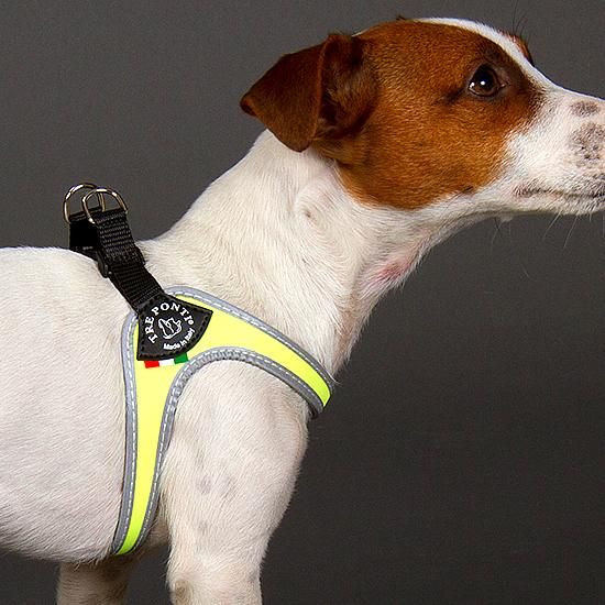 小型犬用ハーネス/リード　トレポンティ TRE PONTI トレポンティ TREPONTI ハーネス 犬 小型犬 1号 1.5号