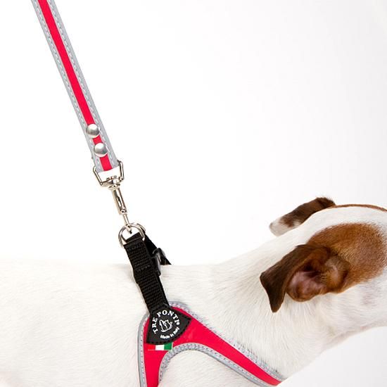 トレポンティ 小型犬用リーシュ トレポンティ 小型犬用リーシュ