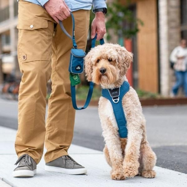 ドッグコペンハーゲン・Urban Trail Leash（小型-大型犬用リード