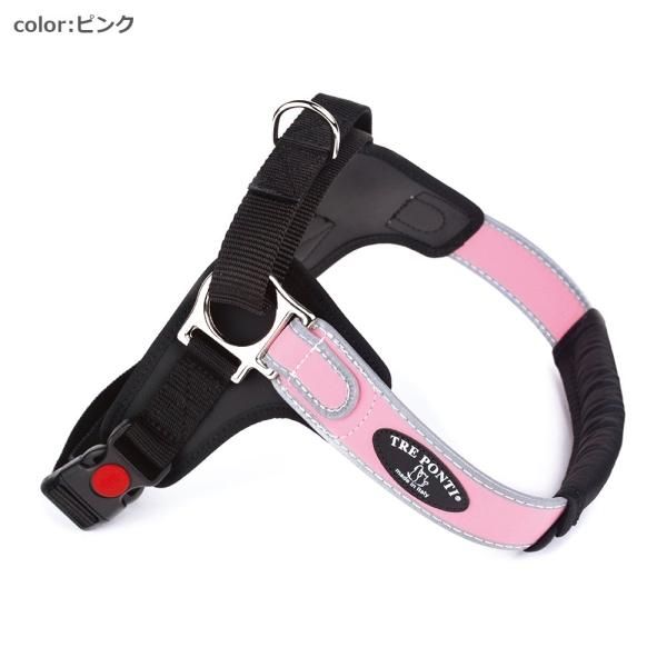 トレポンティ・フォルツァ