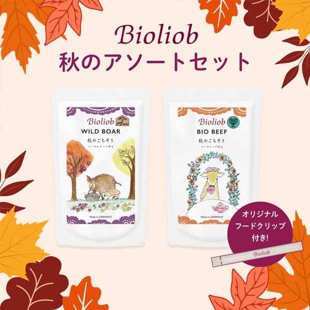 Bioliob Υȥåȡʥաɥåա