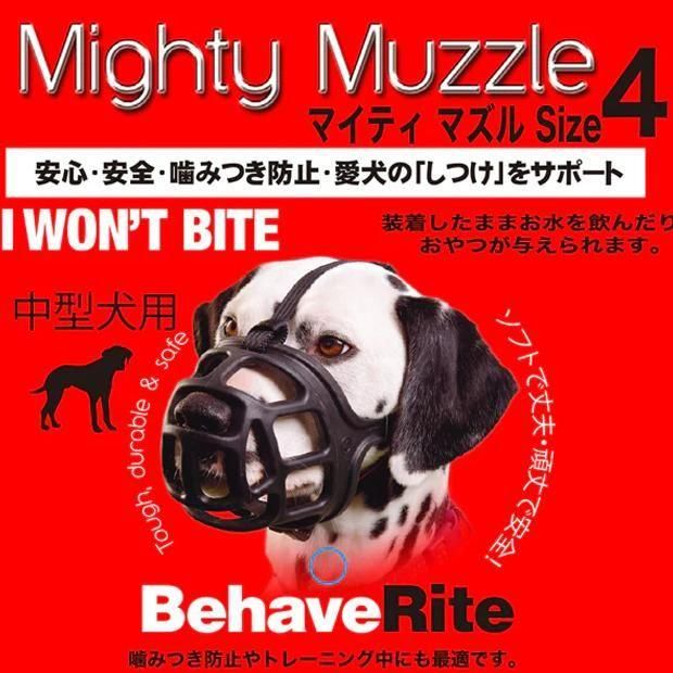 ޥƥ ޥ륬ɡNo:4 緿