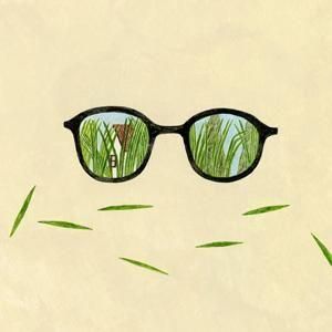 <img class='new_mark_img1' src='https://img.shop-pro.jp/img/new/icons58.gif' style='border:none;display:inline;margin:0px;padding:0px;width:auto;' />ڸ / 