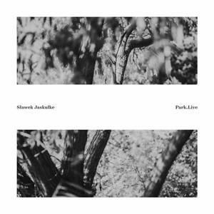洋楽 Slawek Jaskulke Musicaanossa Amazon | MUSICAANOSSA - SLAWEK JASKULKE [Analog