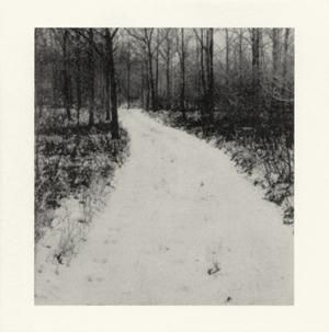 AOKI, hayato / guitar solo #2