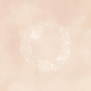 <img class='new_mark_img1' src='https://img.shop-pro.jp/img/new/icons58.gif' style='border:none;display:inline;margin:0px;padding:0px;width:auto;' />߷Ϻߺޤ / Wreath