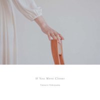 Tatsuro Yokoyama / If You Were Closer