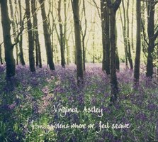 Virginia Astley / From Gardens Where We Feel Secure - 雨と休日 