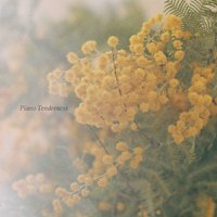 V.A. / Piano Tenderness - 雨と休日オンラインショップ