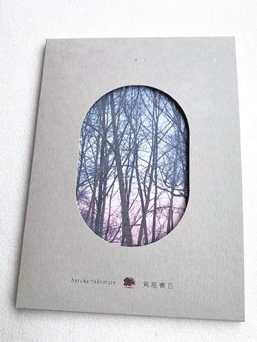 haruka nakamura / 青い森 II - 蔦屋書店の音楽 - - 雨と休日 