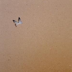 紙とCD - 雨と休日オンラインショップ