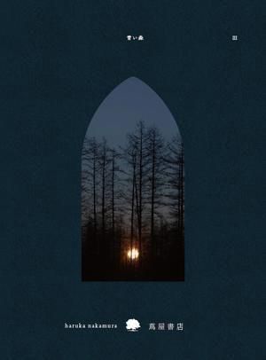 haruka nakamura / 青い森 III - 蔦屋書店の音楽 - - 雨と休日