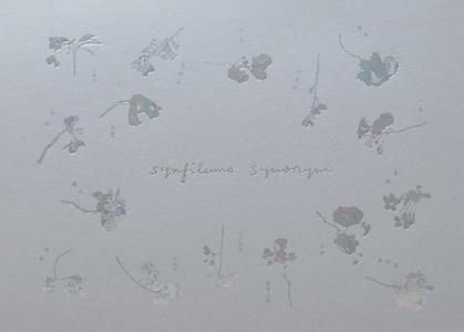<img class='new_mark_img1' src='https://img.shop-pro.jp/img/new/icons7.gif' style='border:none;display:inline;margin:0px;padding:0px;width:auto;' />synfilums / synonym