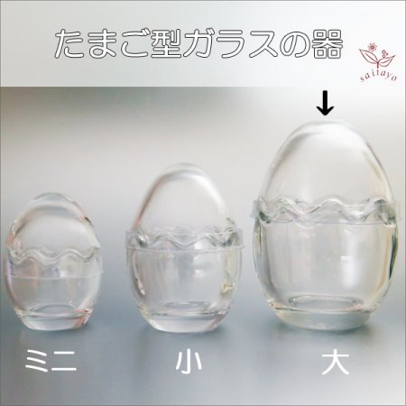 ガラス製たまご型カップ 大 （花器やテラリウムの容器、小物入れなど）